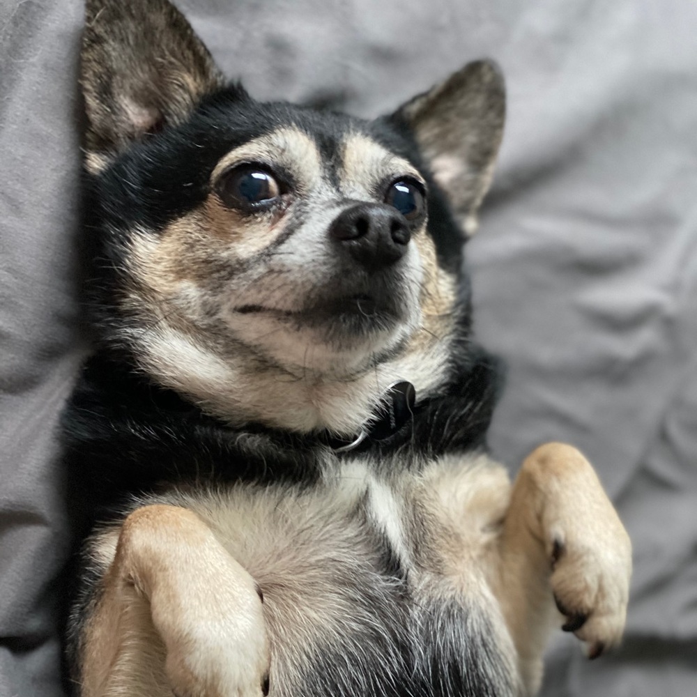 Meet your Posher, Courtney